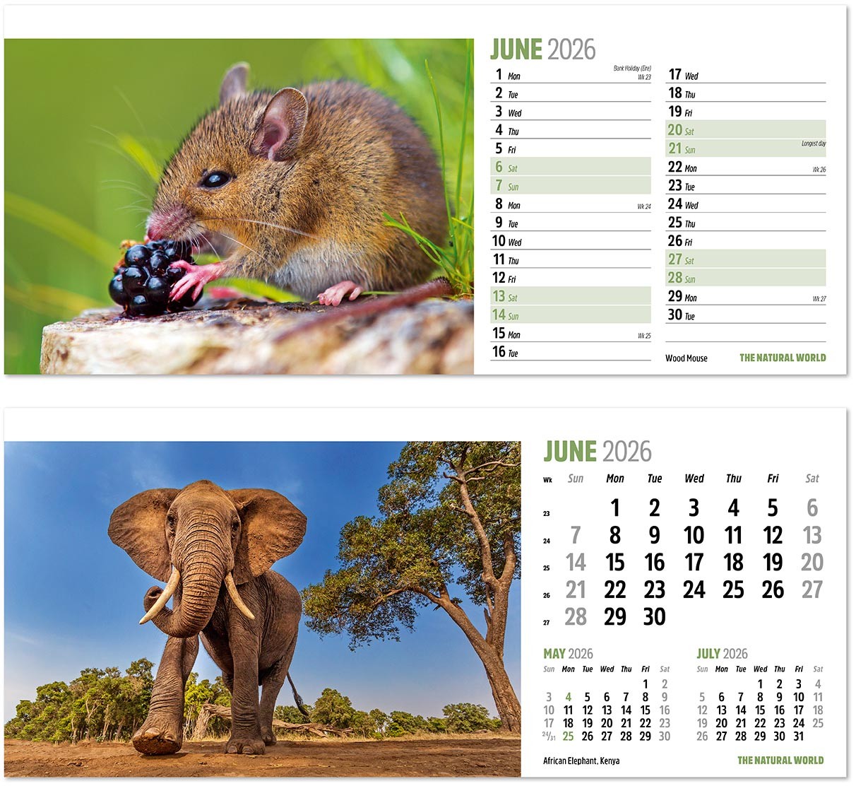 The Natural World Desk Calendar