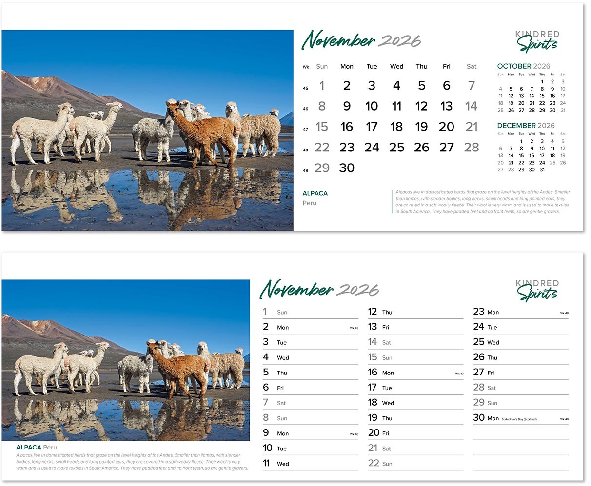Kindred Spirits Desk Calendar