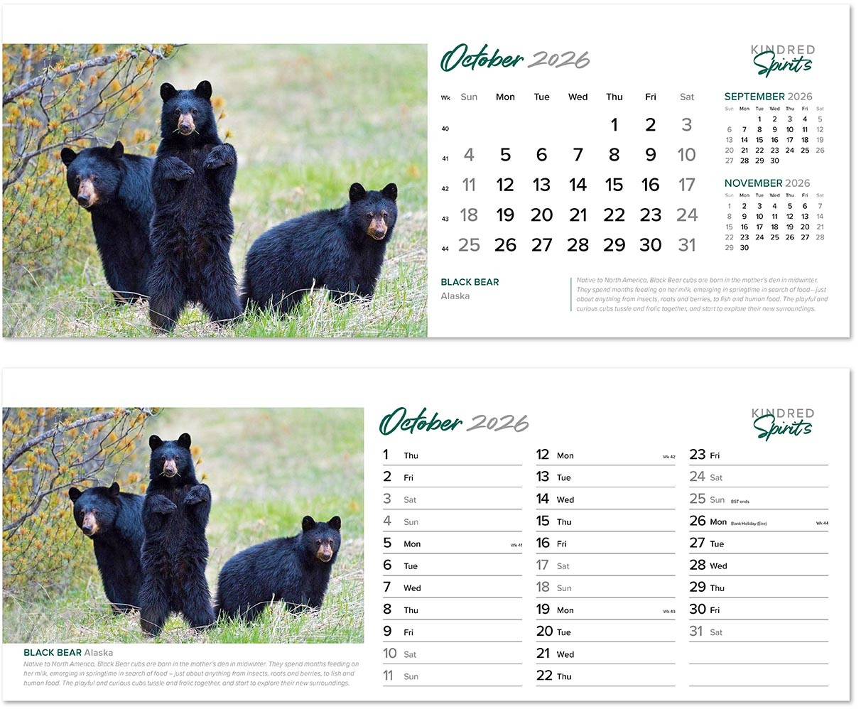 Kindred Spirits Desk Calendar