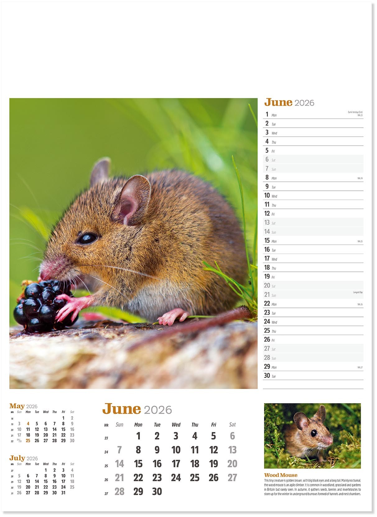 Wildlife in Britain Wall Calendar