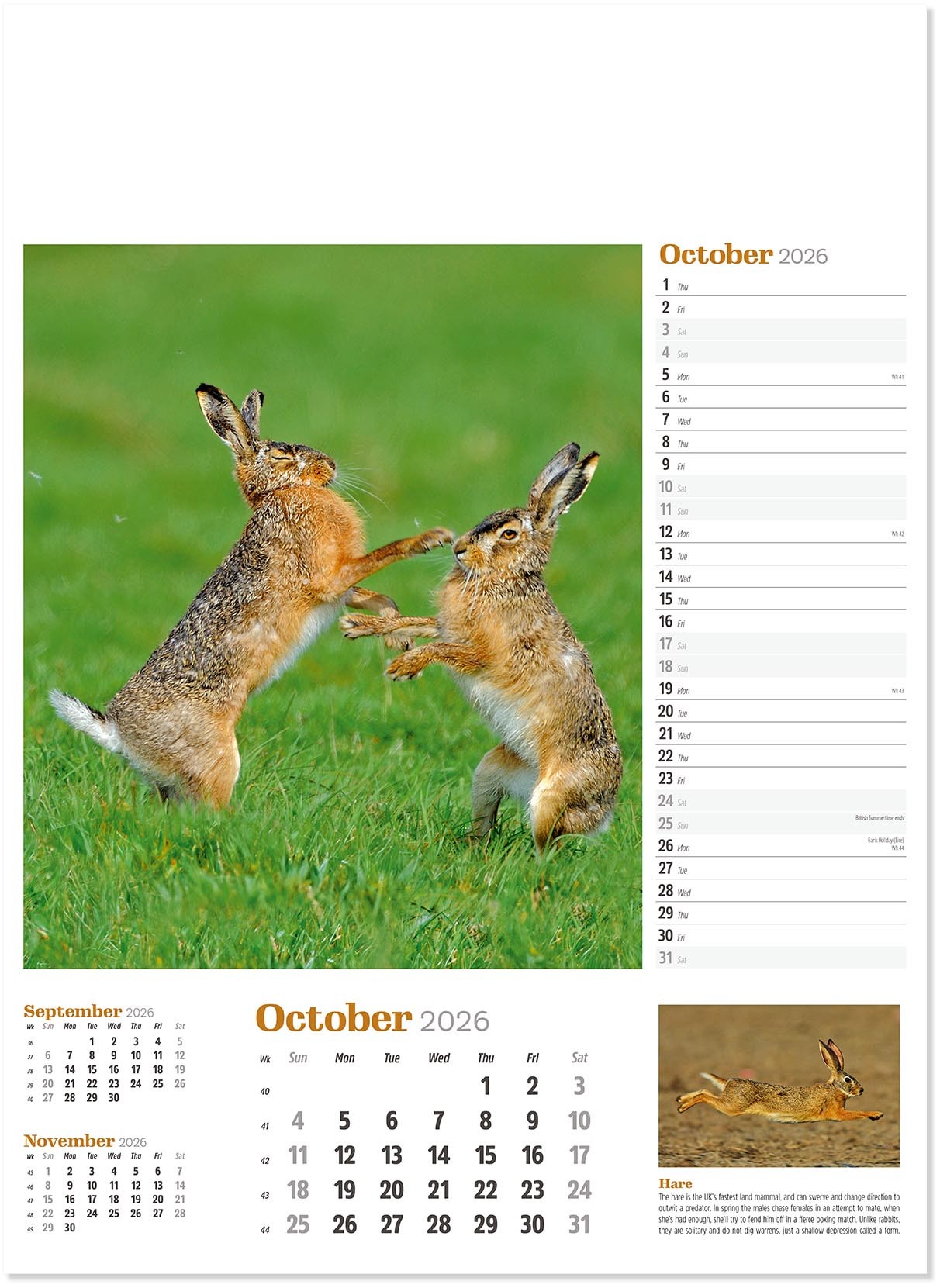 Wildlife in Britain Wall Calendar