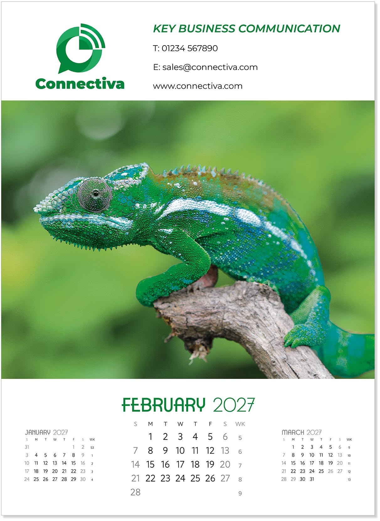 A Touch of Colour Wall Calendar