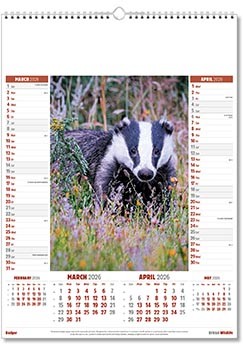 British Wildlife Calendar