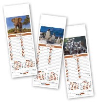 Slimline World Wildlife Calendar